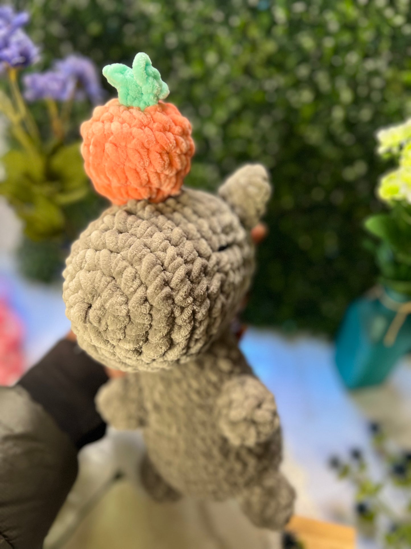 Capybara Peach on head
