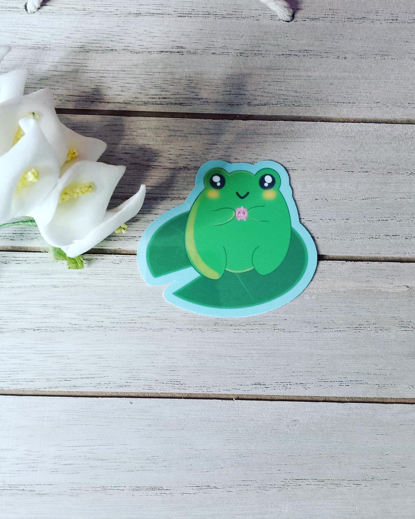 Vinilo adhesivo Froggy amigo