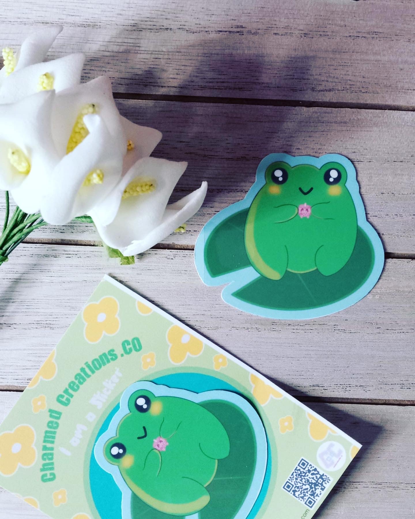 Vinilo adhesivo Froggy amigo