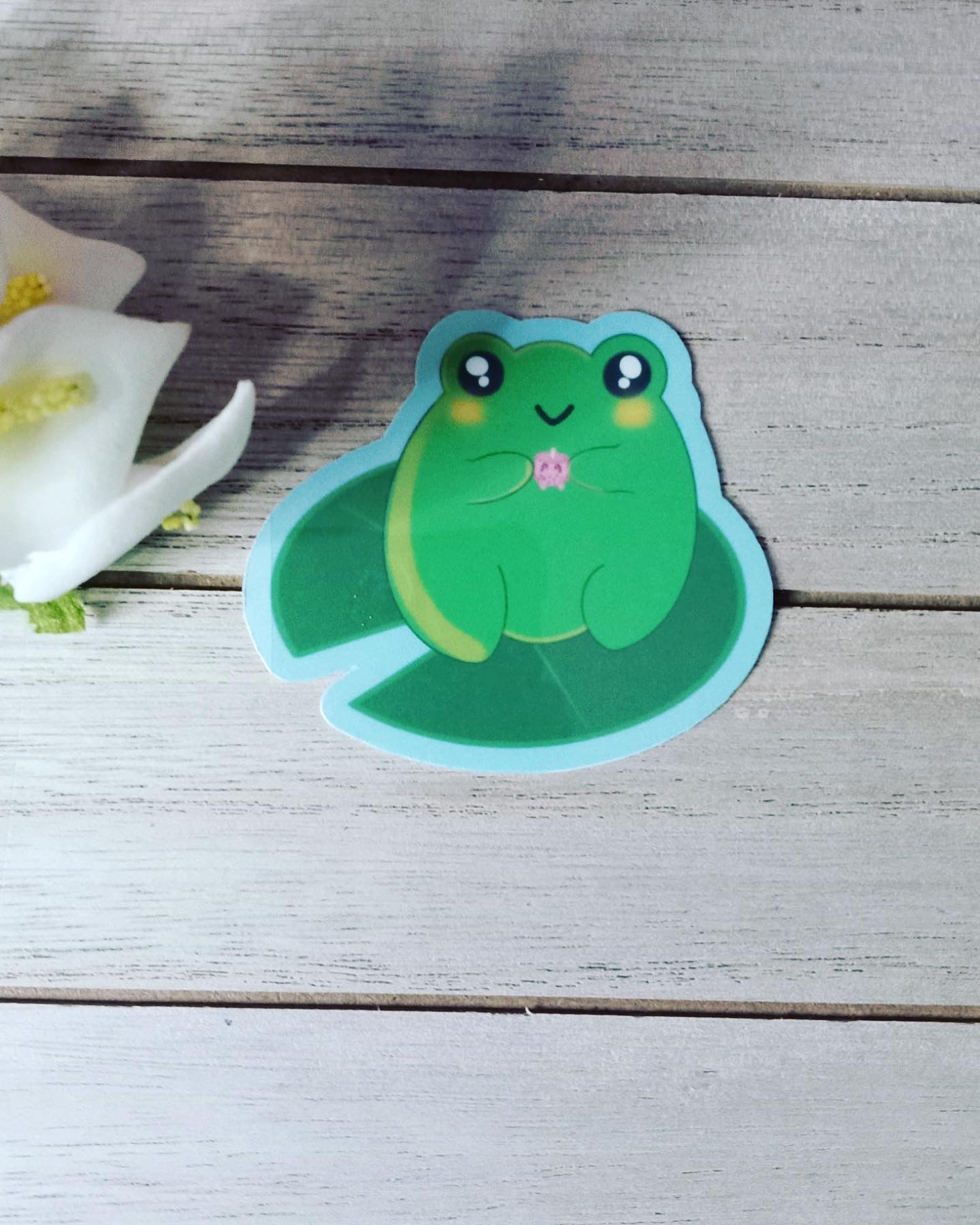 Vinilo adhesivo Froggy amigo